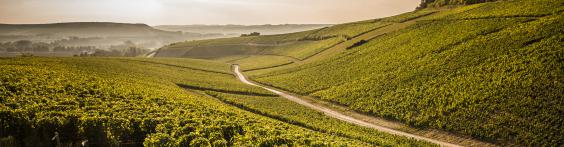 Domaine Gérard Tremblay