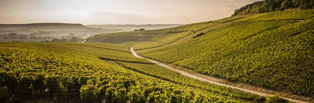 Domaine Gérard Tremblay