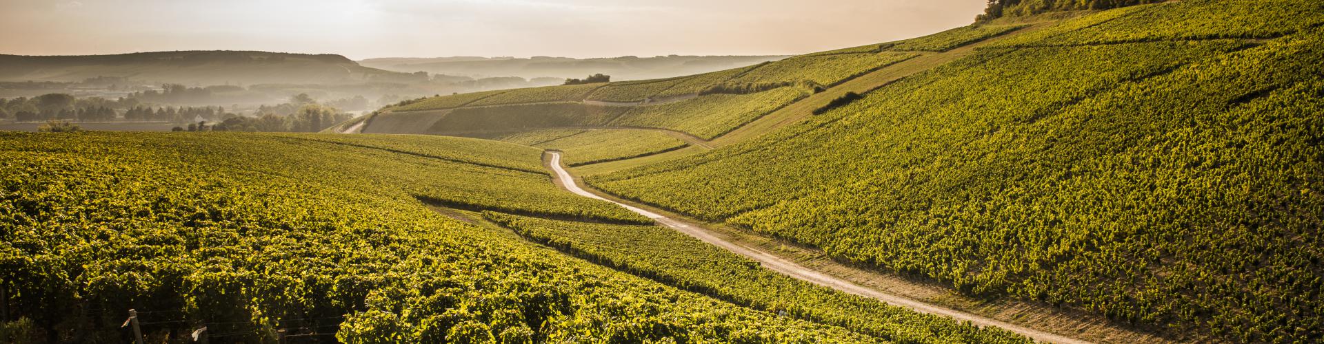 Domaine Gérard Tremblay